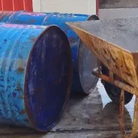 فرغون وبشکه