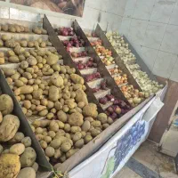 استند میوه|فروشگاه و مغازه|رباط‌کریم, شهرک والفجر|دیوار