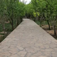 باغ-3هزار-متری-در-منطقه-خوش-آب-هوای-اندروخ