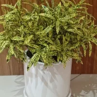 درختچه مصنوعی