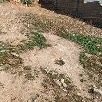 زمین در نصرآباد|فروش زمین و ملک کلنگی|شیراز, نصرآباد|دیوار