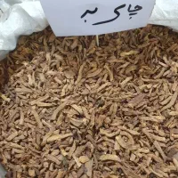 پخش عمده چای به و چای سیب اعلا و امله مقشر وغیره