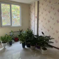 125متر فول ۳خ تک واحد ۲نبش کوثرجنوبی|فروش آپارتمان|مشهد, چهارچشمه|دیوار