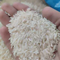 برنج طارم هاشمی|خوردنی و آشامیدنی|خان ببین, |دیوار