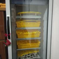 دستگاه جوجه کشی