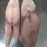 فیله ماهی شیردم سیاه بوشهر