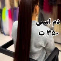 موی دم اسبی