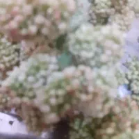 فروش سیم کارت