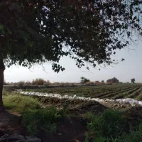 نقاشی ساختمان اسان و سریع و ارزان