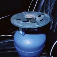 پیک‌نیک