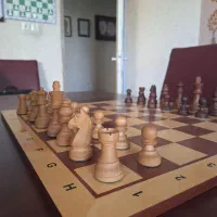 آموزش حرفه ای برای همه سنین درباشگاه شطرنج ایران