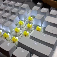 کیبورد ریزر (Razer) pro-type ultra|قطعات و لوازم جانبی رایانه|کرج, اصفهانی‌ها|دیوار