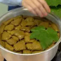 آشپز ماهر خونگی