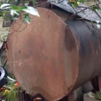 منبع 1000 است ی به همراه نفت