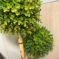 منشی و فروشندگی خانم