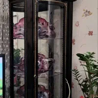 ویترین و کنسول چوبی|بوفه، ویترین، کنسول|تهران, سلسبیل شمالی|دیوار