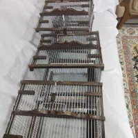 قفس سهره|لوازم جانبی حیوانات|تهران, مشیریه|دیوار