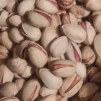 فروش فوری پسته زیر قیمت بازار