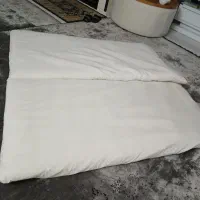 دو عدد تشک نو