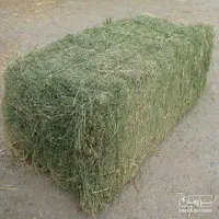 فروش علف خشک