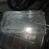 یکبار مصرف میوه
