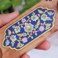 شناسنامه پیدا شده