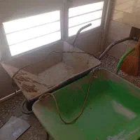 فرقون و تخته