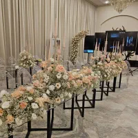 تشریفات.دیجی‌.بادکنک ارایی.