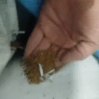 بذر یونجه|گل و گیاه طبیعی|بشاریات, |دیوار