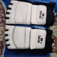 رو پای تکواندو