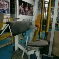 باشگاه بدنسازی