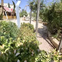 فروش باغشهر در اهل بیت صدرا|فروش خانه و ویلا|شیراز, باغشهر اهل بیت|دیوار