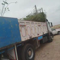 فروش ویژه انواع نهال گلدانی در کرمان