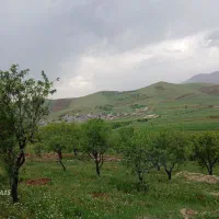 زمین باغ بادام و انگور روستای مراداباد