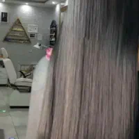 فستیوال تخفیفی.کیفیتVipراباقیمت اقتصادی تجربه کنید|خدمات آرایشگری و زیبایی|مشهد, نظام دوست|دیوار