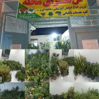 «فروش گیاهان آپارتمانی وبیرونی»