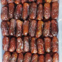 خرمای بوشهر صادراتی