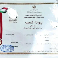 ضامن فیش حقوقی کارمند رسمی. باجواز کسب درشهرتهران