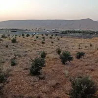 باغ شهری|فروش دفتر صنعتی، کشاورزی، تجاری|شیراز, داریون|دیوار