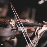 آموزش سطح مقدماتی ویلن توسط مدرس خانم(در آموزشگاه)