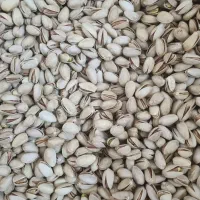 فروش زمین پسته