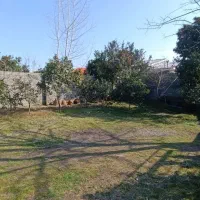 زمین ۷۵۰ متری / مسکونی / دور دیوار / زیباکنار