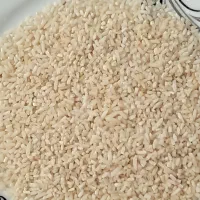 نیم دانه هاشمی صددرصد محلی