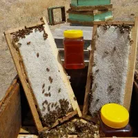 عسل چهل گیاه اردبیل|خوردنی و آشامیدنی|اهواز, امانیه|دیوار