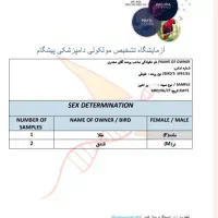 یک جفت گرینچیک مولد سرحال|پرنده|رضویه, |دیوار