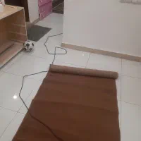 موکت راهرویی|موکت|زاهدان, |دیوار