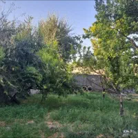 فروش باغ میوه