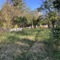 ۲۴۵۰ مترمربع بَرِ اتوبان اصلی ۲ کله تراکم ۱۰ طبقه|فروش زمین و ملک کلنگی|رامسر, |دیوار