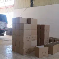 فروش لیوان کاغذی ۲۲۰ و کرافت|ظروف نگهدارنده، پلاستیکی، یک‌بارمصرف|بروجرد, |دیوار