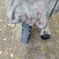 موتور شیرو سانیکو مدل 79|موتورسیکلت|نظرآباد, رسالت|دیوار